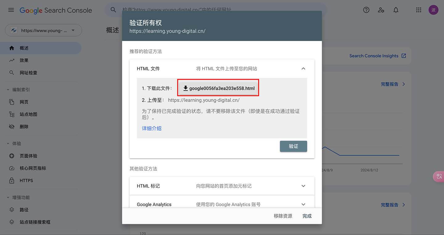 google search验证代码