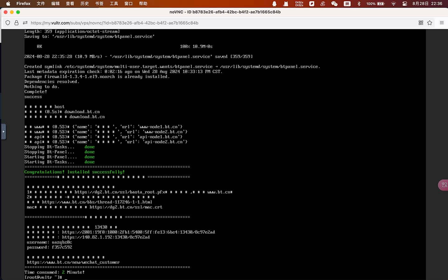 Vultr View Console安装3