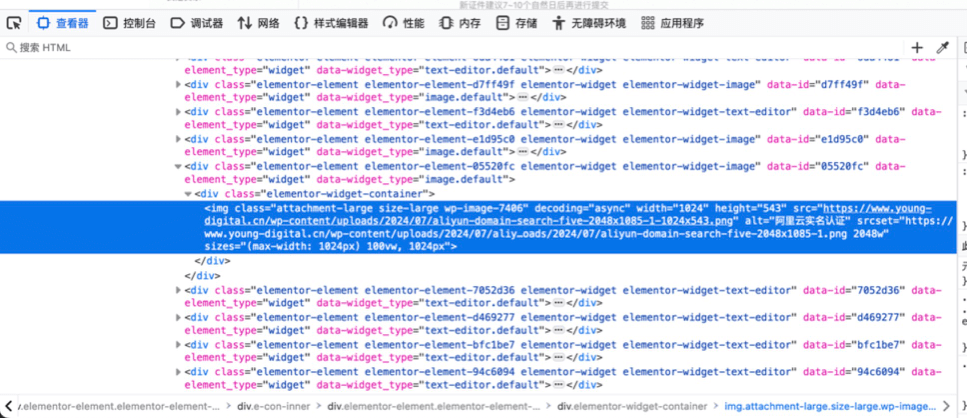再次查看图片 Alt 属性