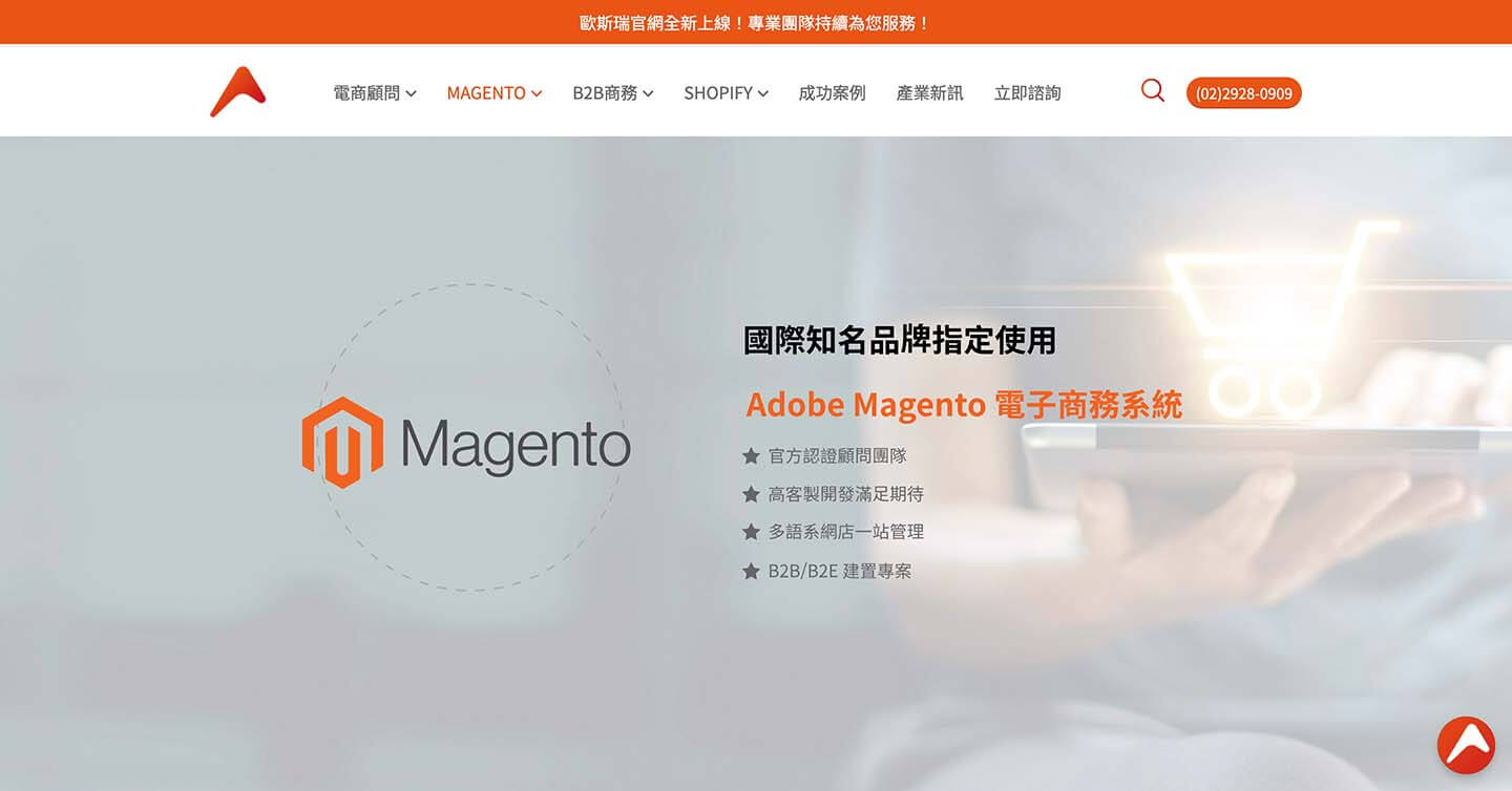 Magento 自建电商