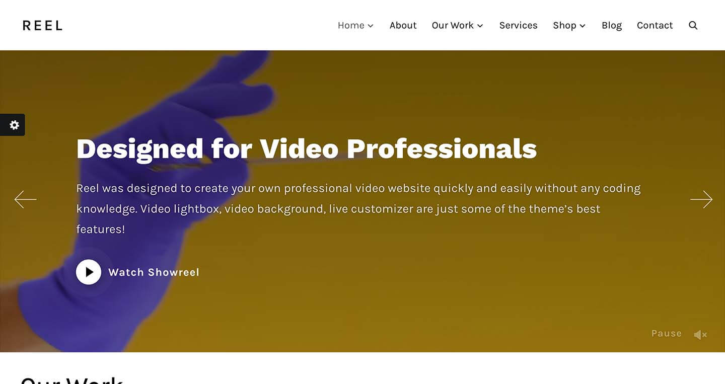 WPZoom 博客资讯主题​ reel