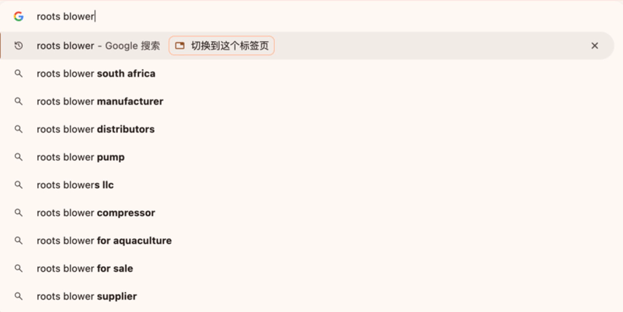 Google SEO 关键词搜索