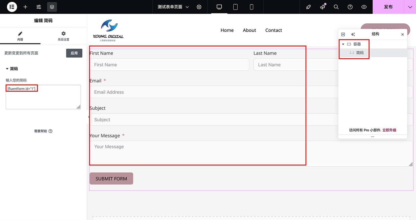 设置管理 Fluent Forms 表单字段内容