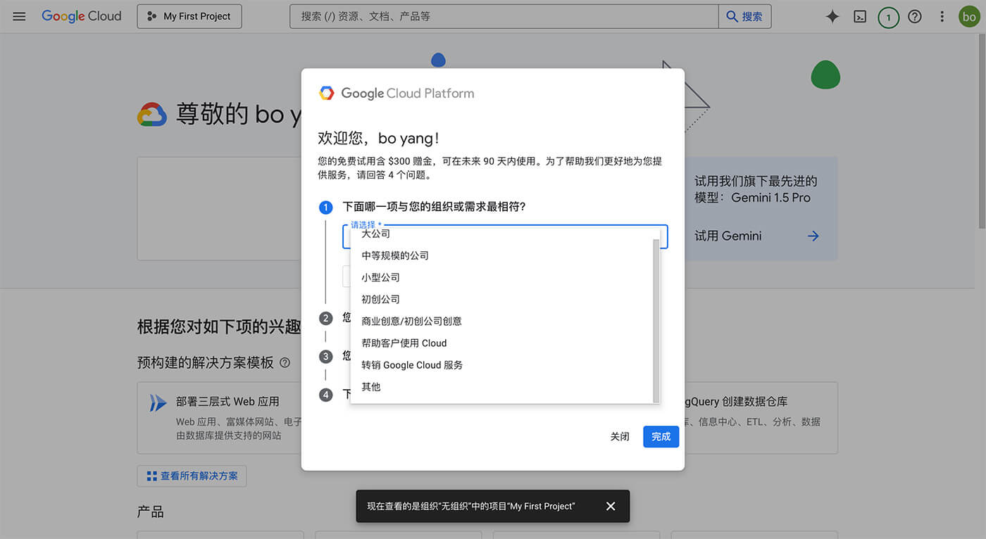 Google Cloud 填写公司组织架构信息